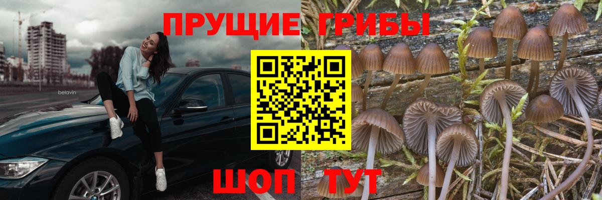 Псилоцибиновые грибы Magic Shrooms  Вход с VPN  хочу наркоту  Ижевск 